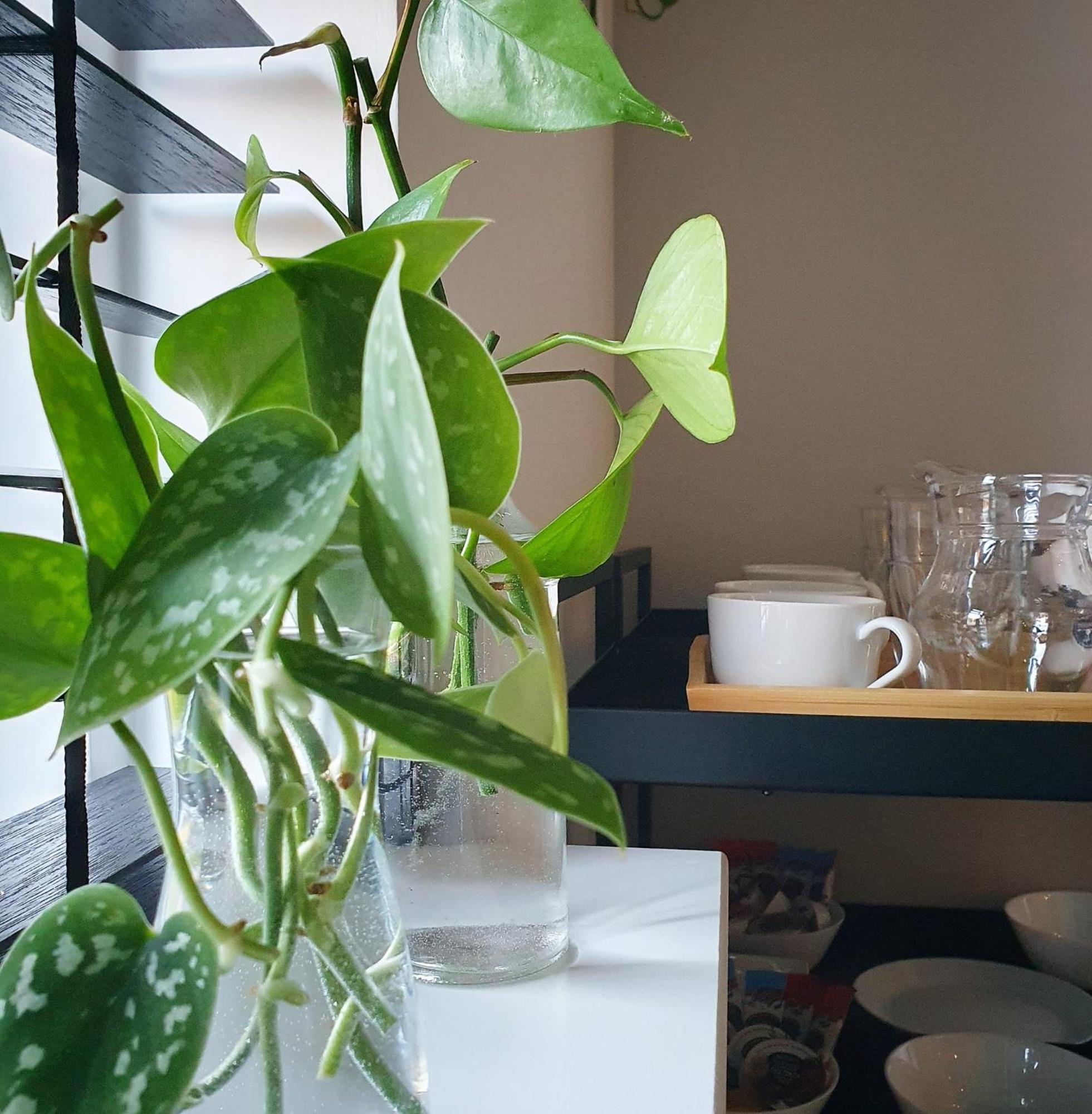 Bed And Breakfast 'Wij En De Zande' - Kamer Met Vide Kamperveen Eksteriør billede